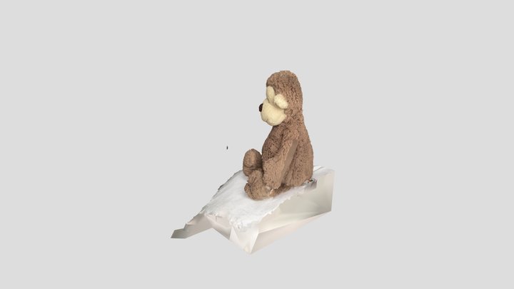Bear Test 3D Model