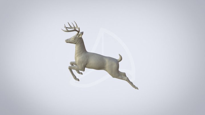 Deer jumping 3D Model