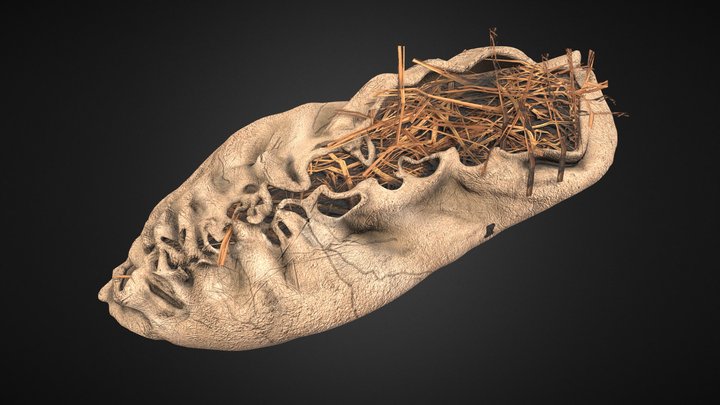 5500 year-old Leather Shoe Areni-1 3D Model