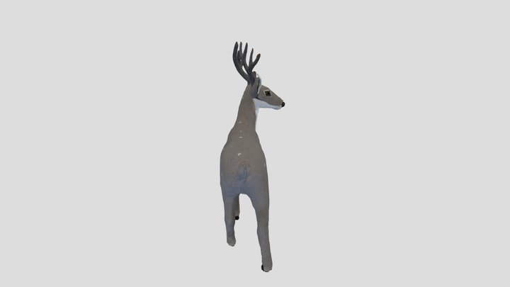 deer_3dscan 3D Model