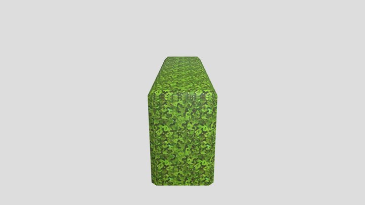 Hedge Block 3D Model