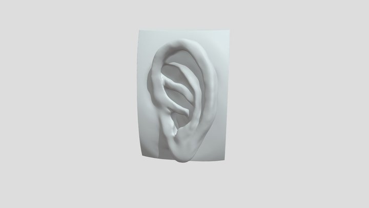 Ear_sculpt_0002 3D Model