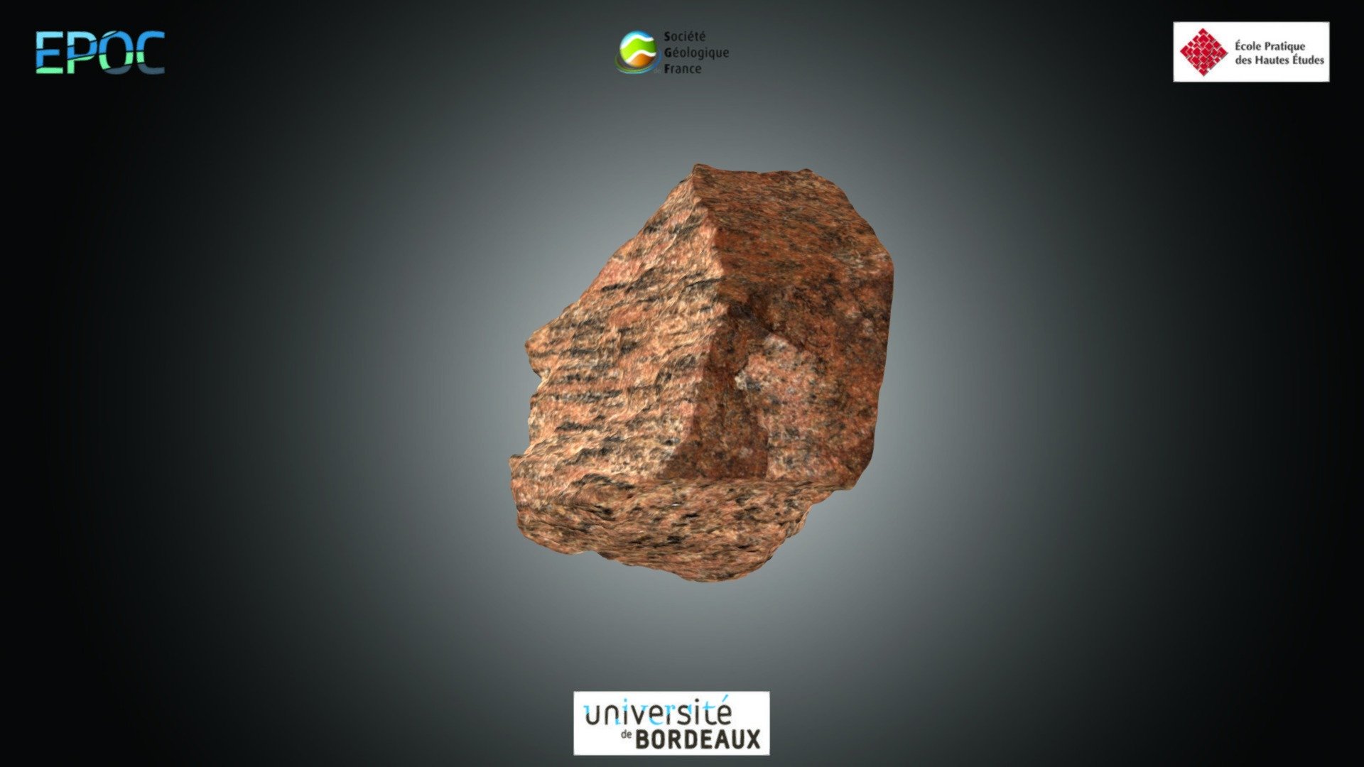 Roche - Gneiss rose