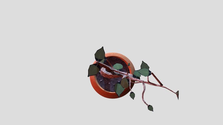 PlantBoi 3D Model