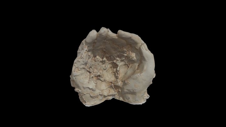 Rzezba 2_raw 3D Model
