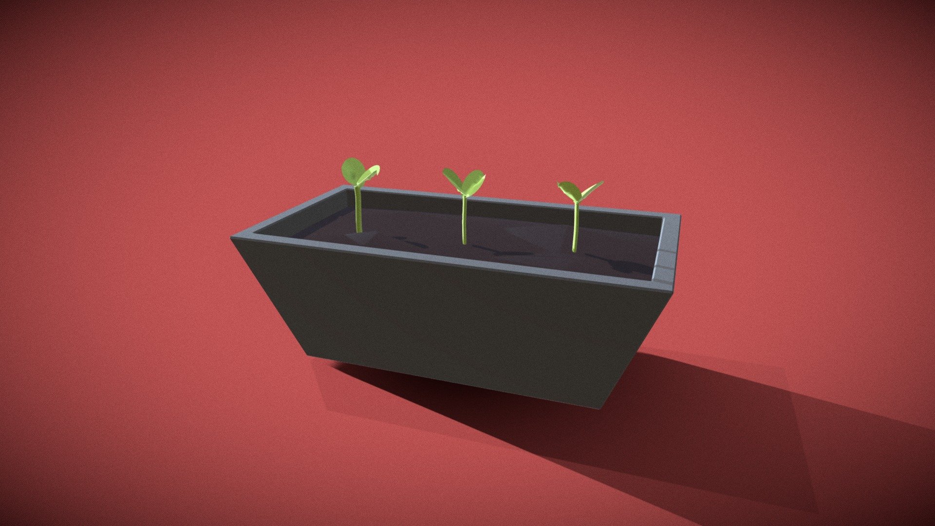 Saplings!