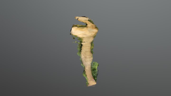Pathway test 3D Model