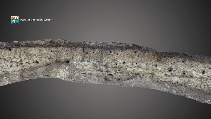 Outcrop (FB_Mosna_sus) 3D Model