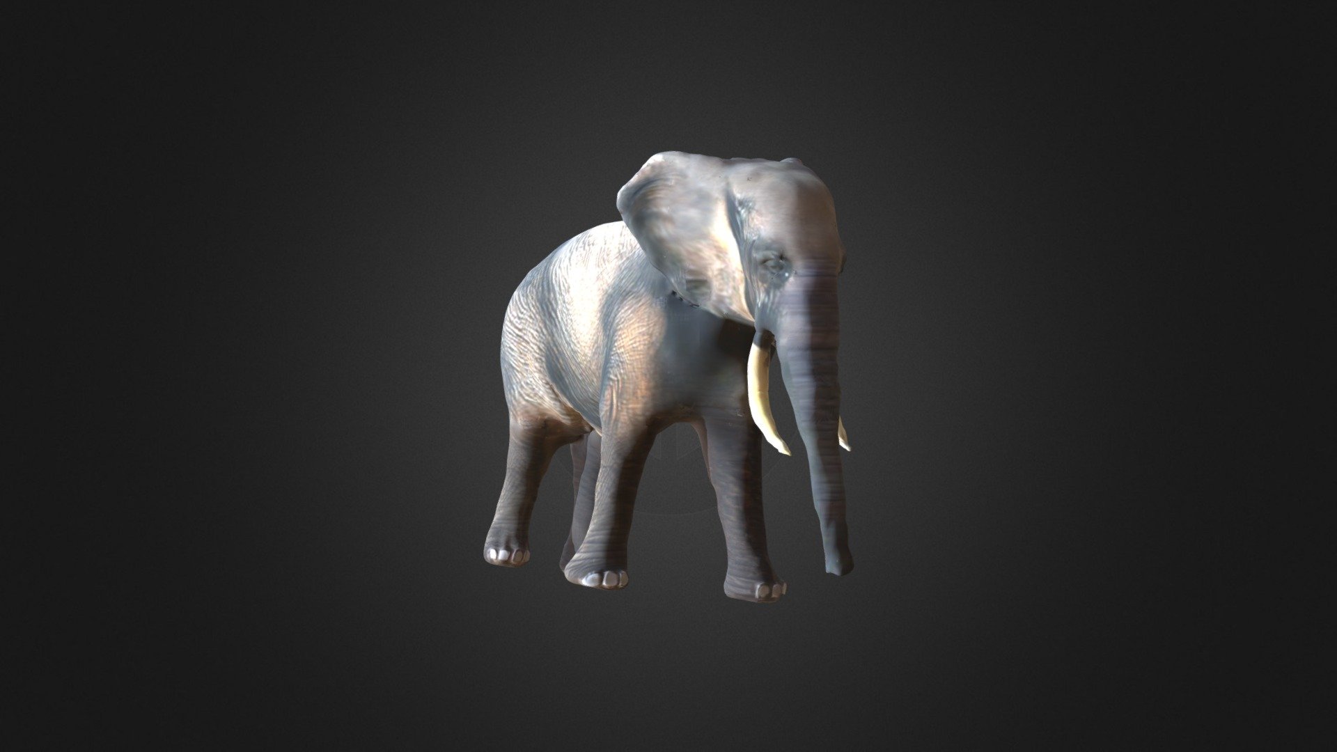 Elefante