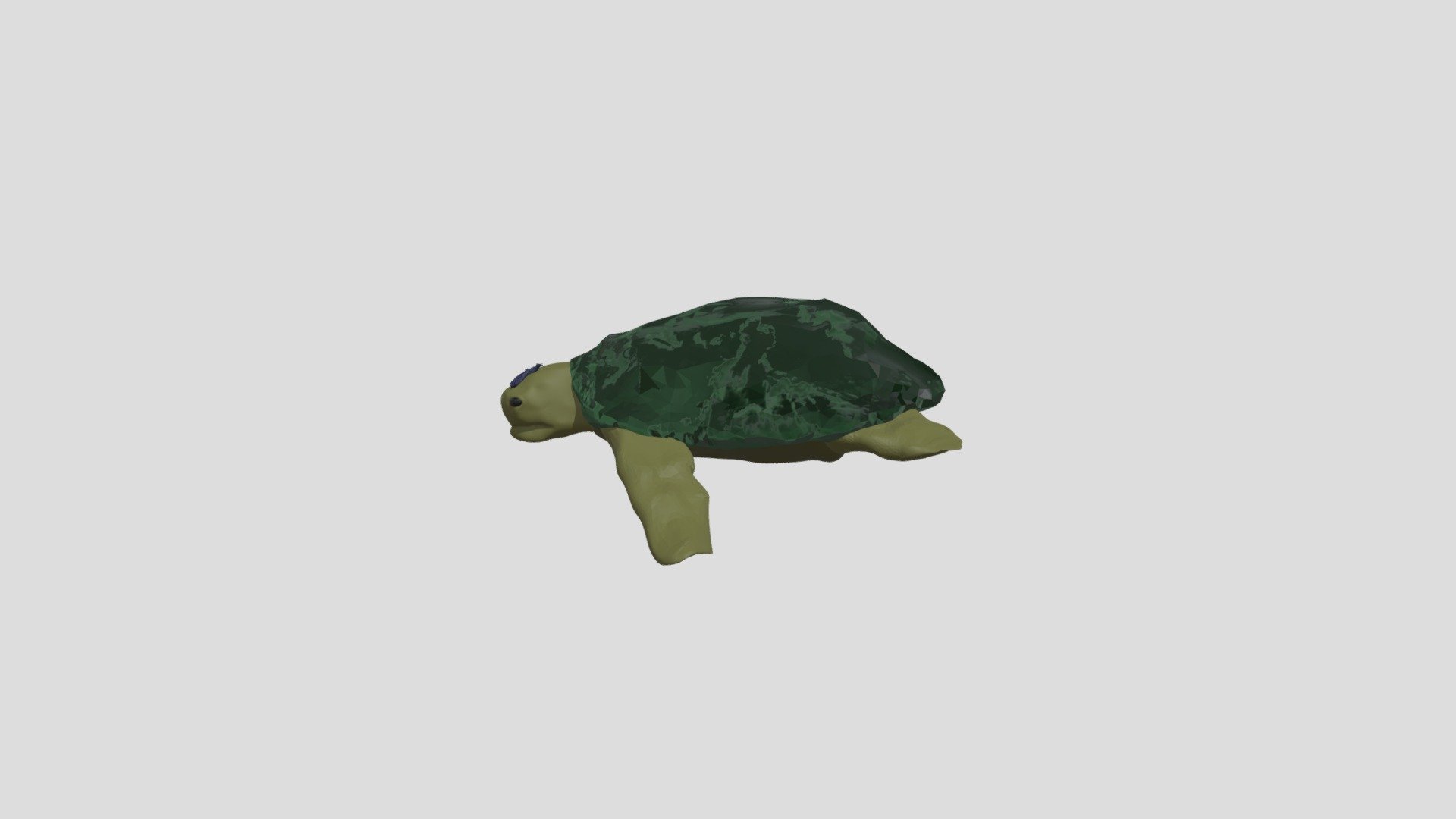 TORTILA
