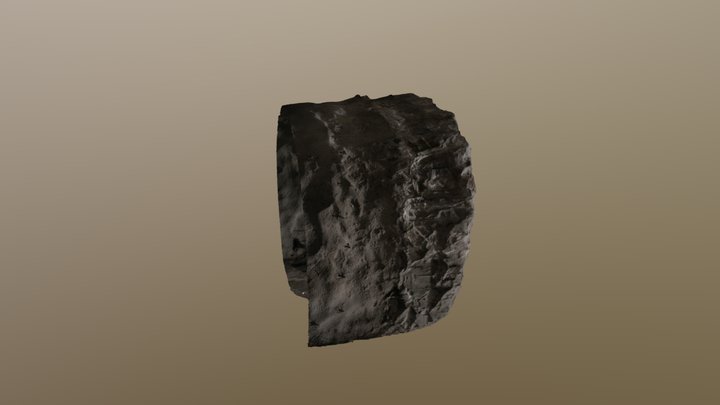 1 3D Model