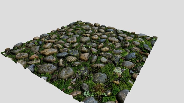 Tileable Pabbles Mossy Texture – Kostenloses 3D-Modell STL