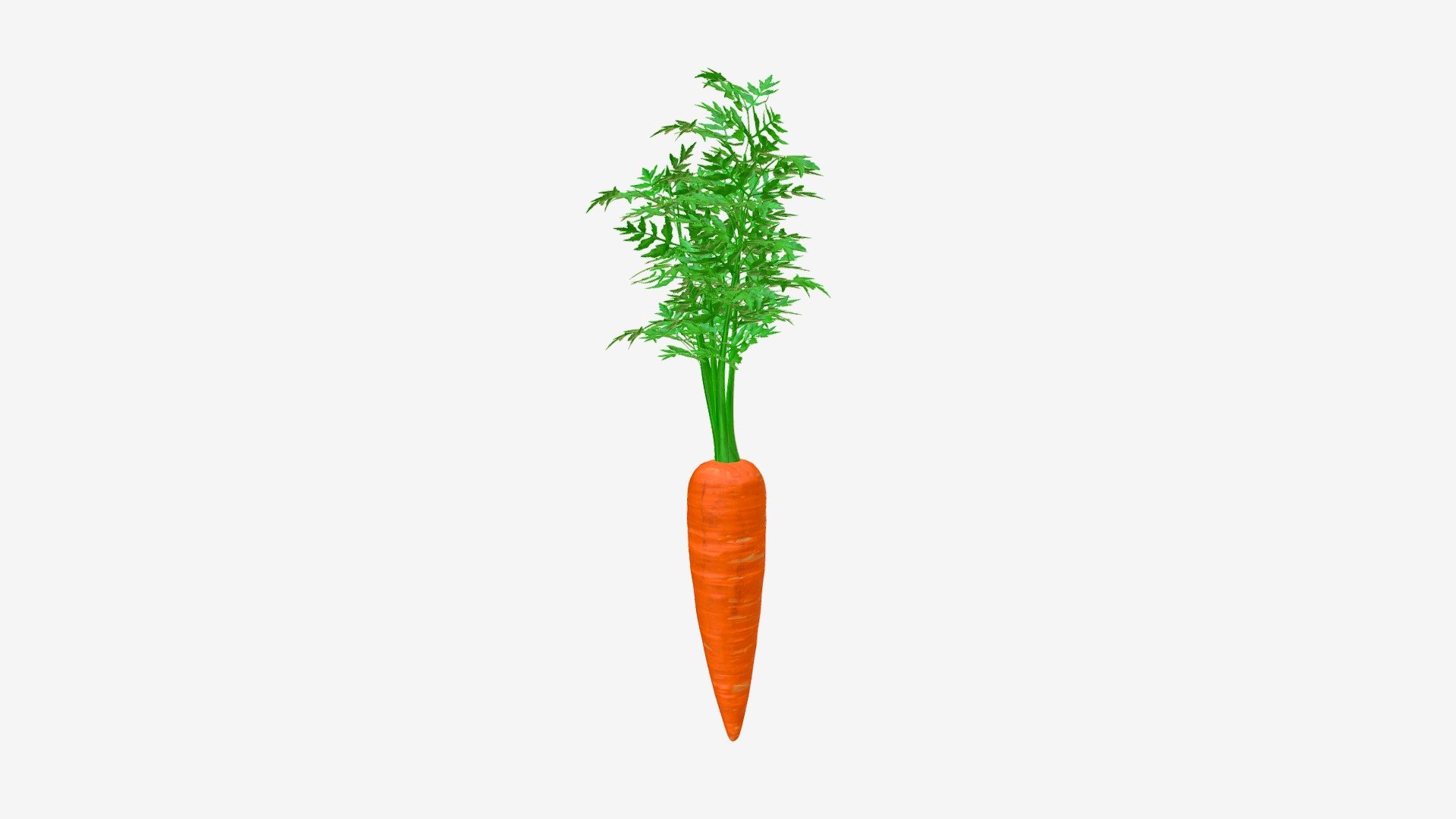 free baby carrot 3d model