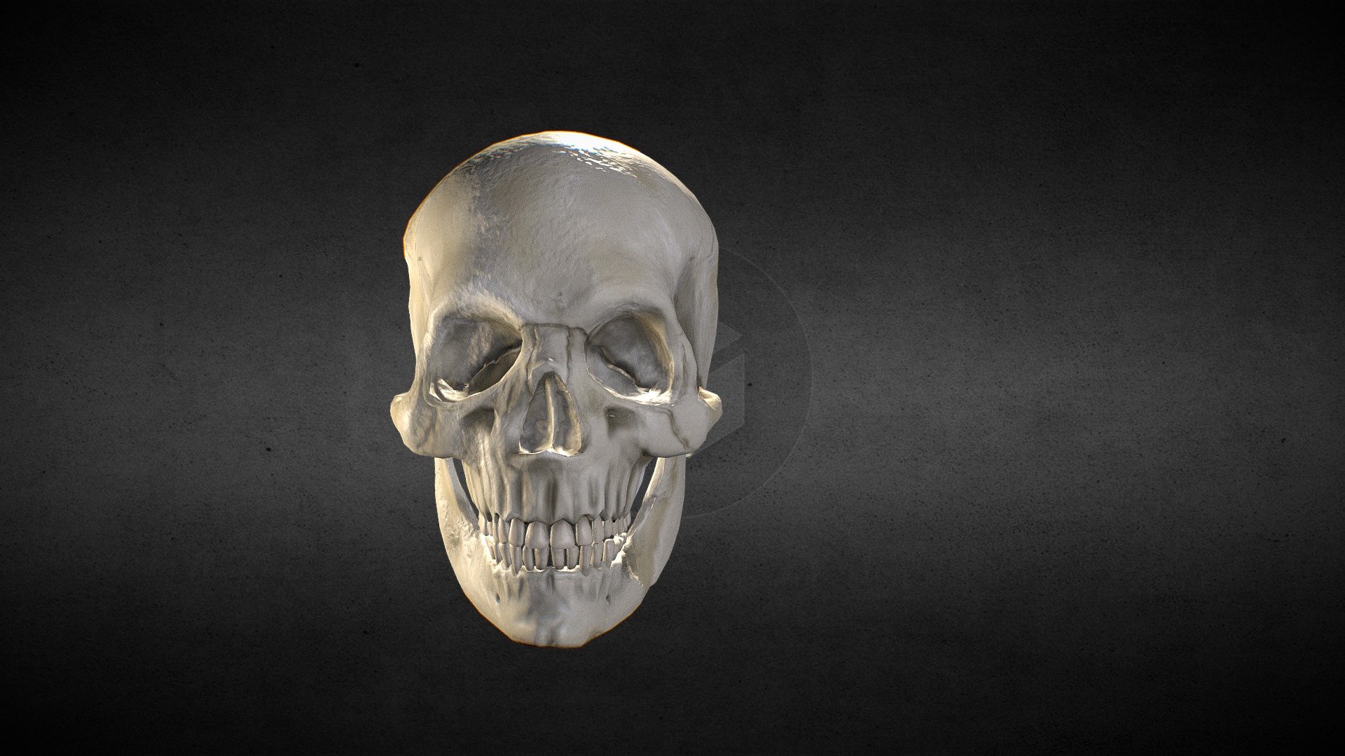 Skull_Test_1
