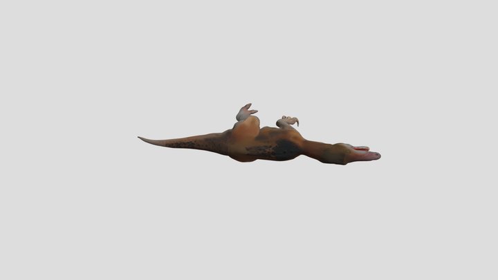Tratayenia 3D Model