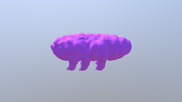 Tardigrade boi 3D Model