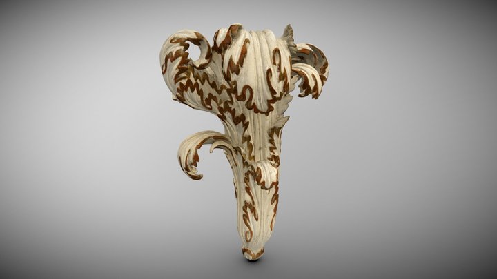 MNWr XII-1108 Liść akantu 3D Model