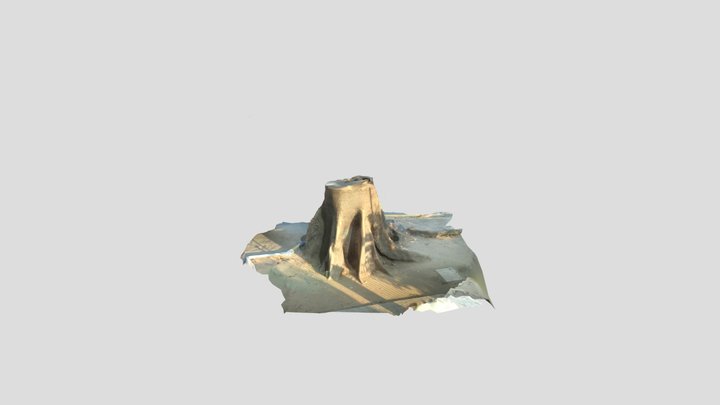 Ceiba 17 3D Model