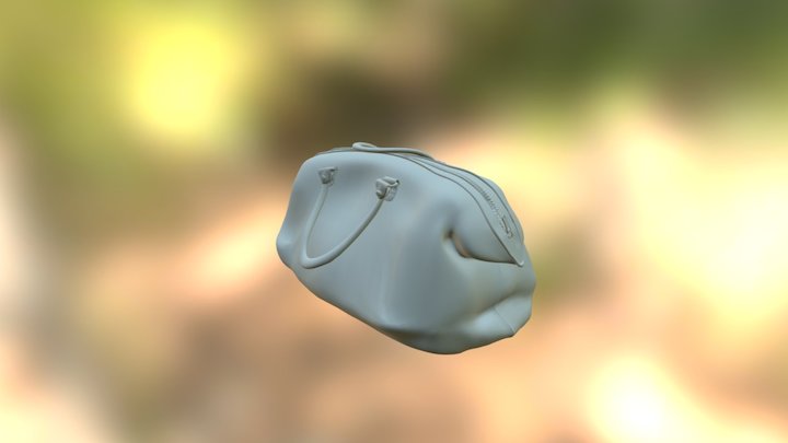 HandBag 3D Model