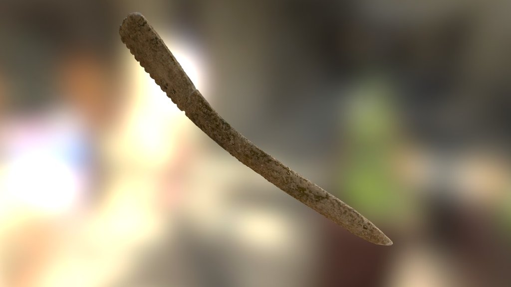 Worked Deer Rib (VCU_3D_247) - Download Free 3D model by Virtual ...