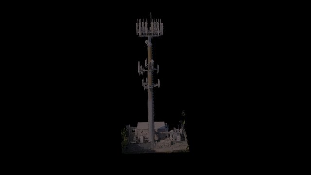Vashon Tower 4-6-16 Group1 Densified Point Cloud 3D Model