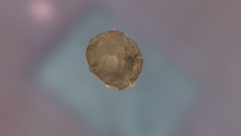 Ugly mushroom