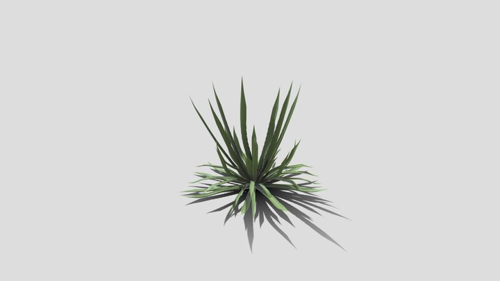 the little desert plant kit shin dagger 2 3D Model