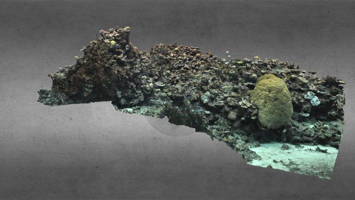 AIMS - EcoRRAP 3D model - Davies Reef 2023, GBR 3D Model