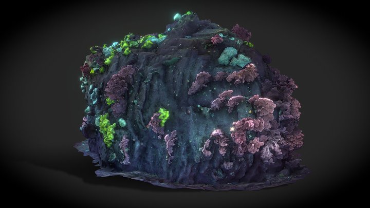 Coral covered rock at Sur Ridge, Monterey Bay. 3D Model