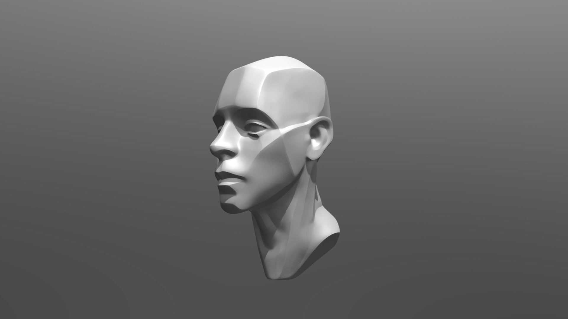 Head Planes Reference - Download Free 3D model by zsoltsulyok