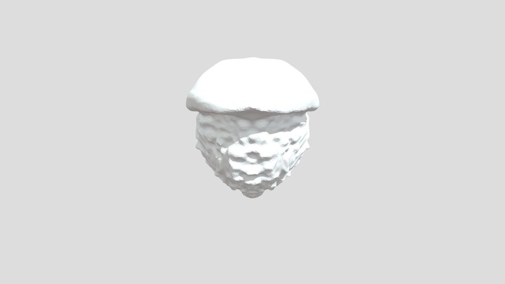 Hood Mask 3D Model