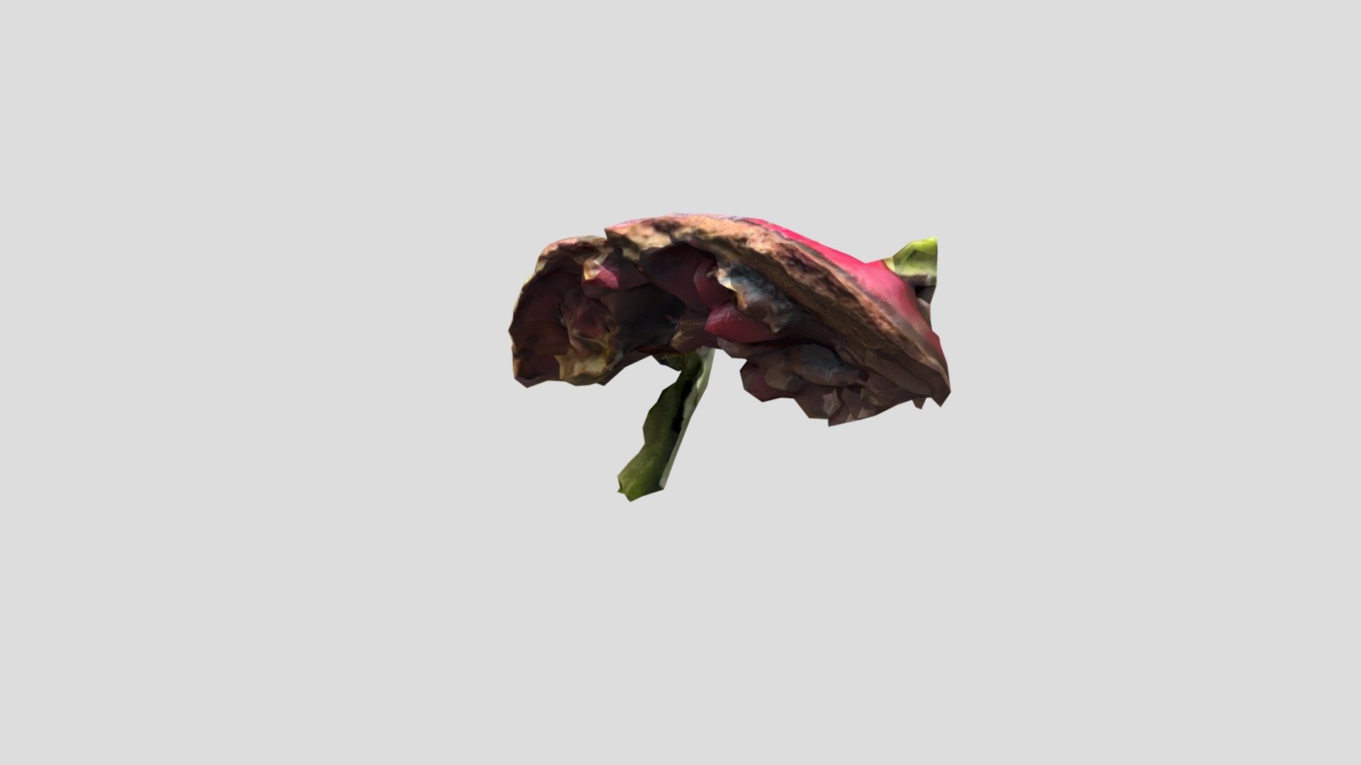 poly (1) - 3D model by jmonaco18 [7b66b28] - Sketchfab