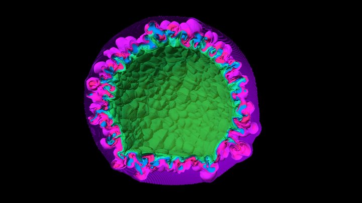 D6 supernova remnant 3D Model