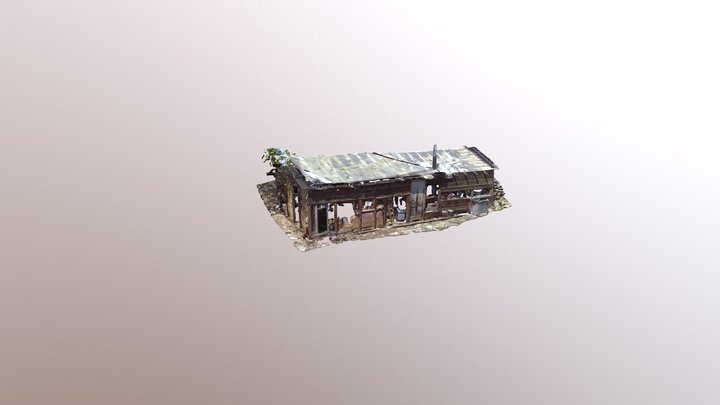 Outbuilding at 21 Taylor, Deadwood SD 3D Model