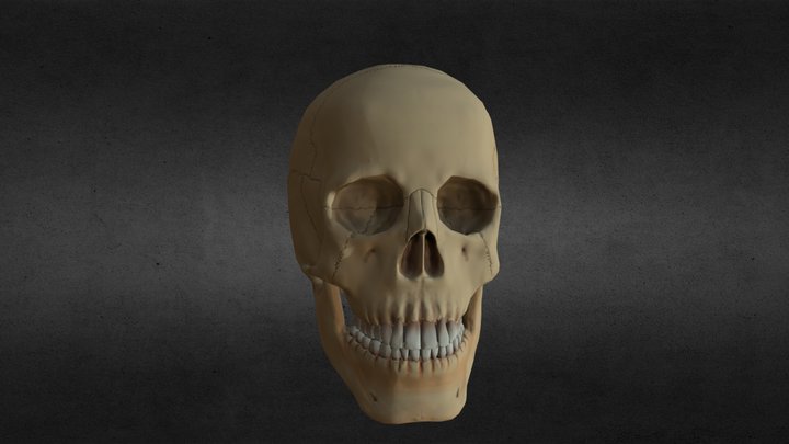 Skull Game Model 3D Model