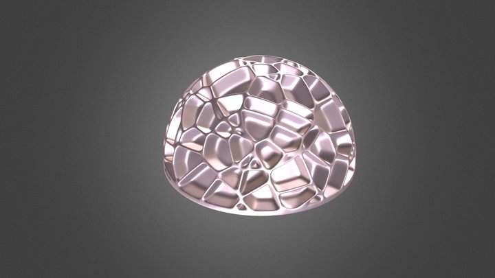 Morille 3D Model