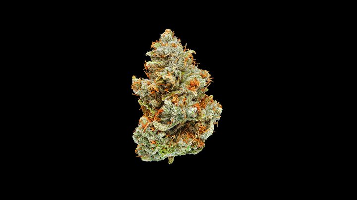 Truffle Monkey — Cannabis Model 3D Model