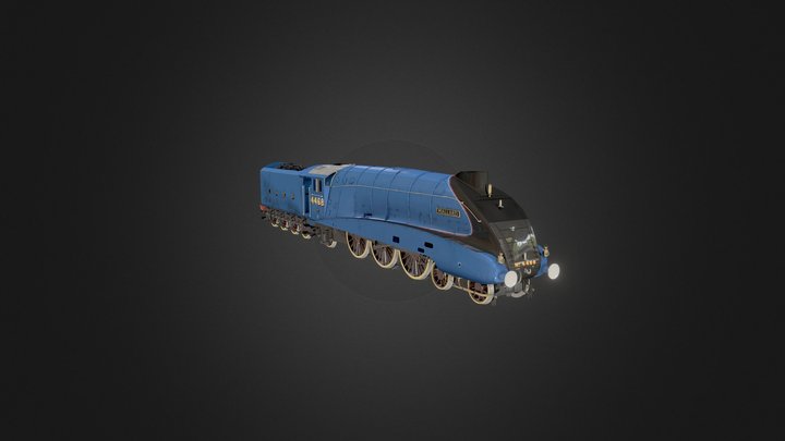 Mallard 3D Model