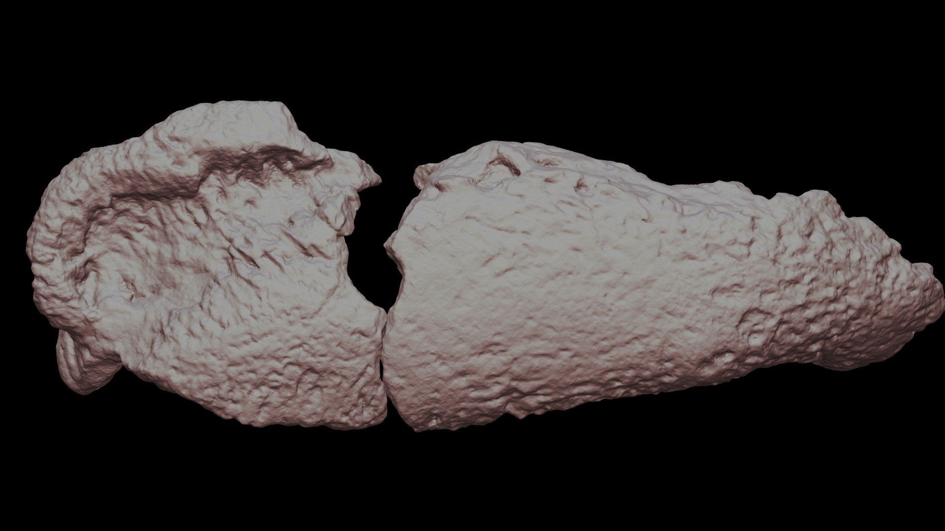 Complete Jaw NCSM 29059 and 29060