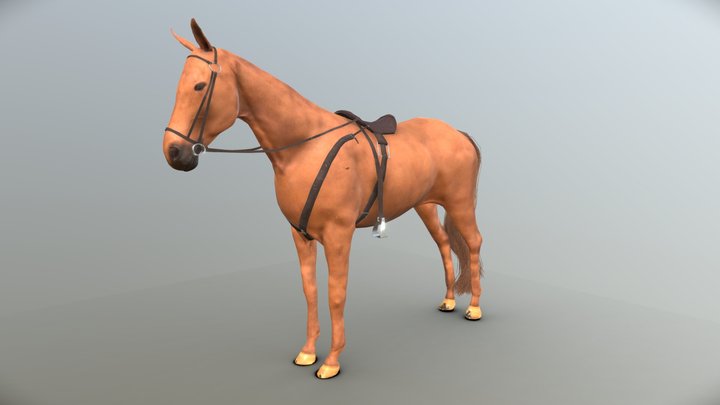 Horse with saddle 3D Model