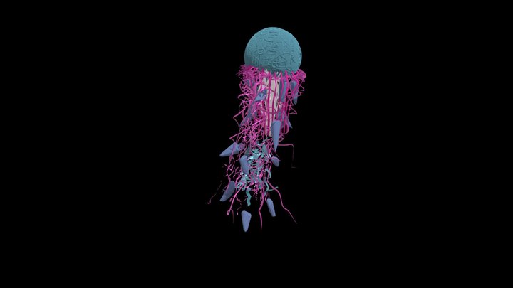 jellyfish_trial_2 3D Model