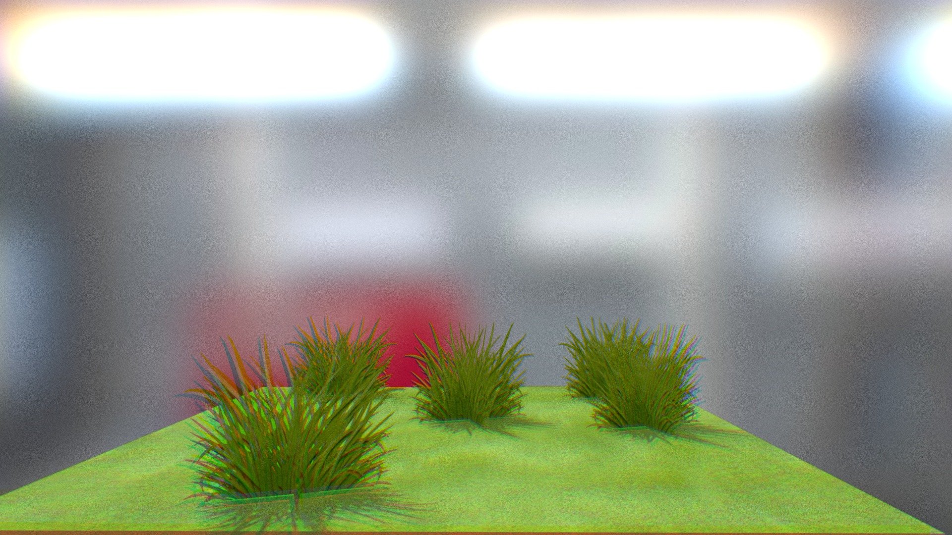 Grass Lawn