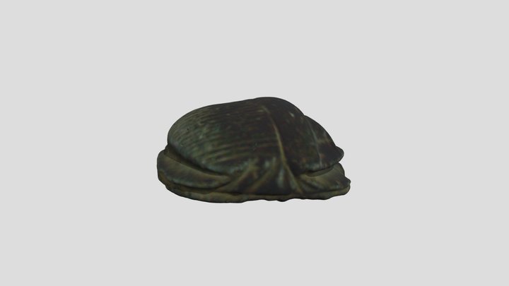11.11.2022_Scarab 3D Model