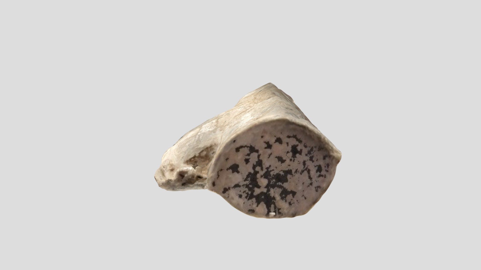 Wmid-8d4229 - Medieval Pilgrim's Ampulla