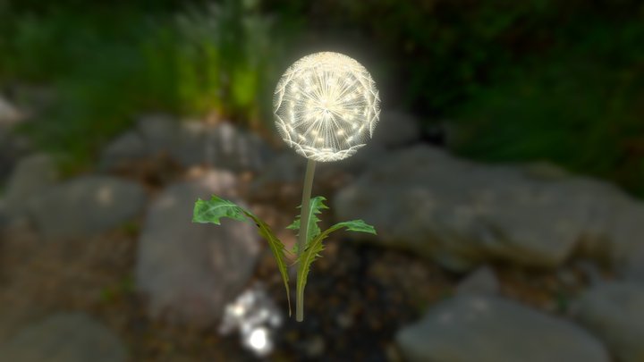 Flower 3D Model