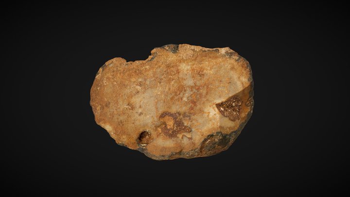 Primary flake with traces of use (Medzhybizh 1) 3D Model