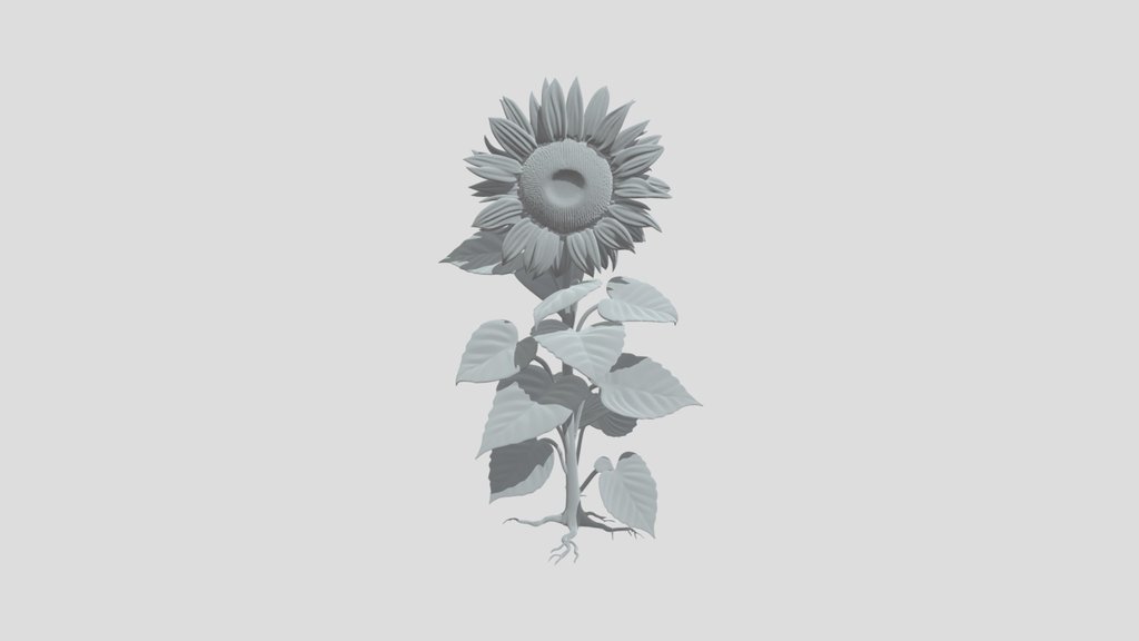 highly realistic Sunflower