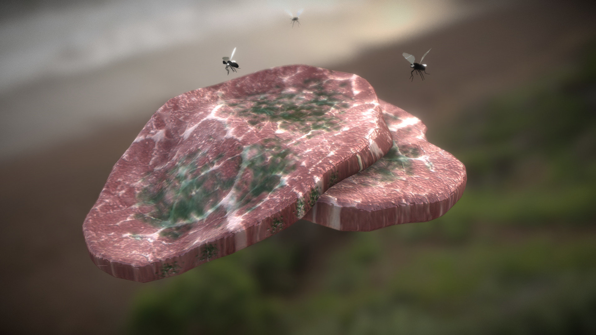 Spoiled Meat 3D Model By Digrafstudio 7b865b2 Sketchfab