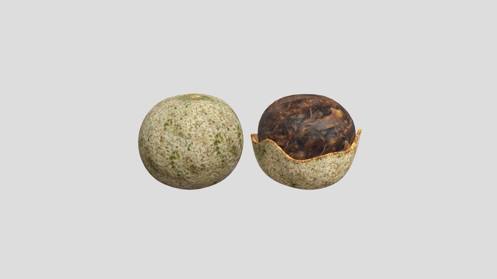 Wood Apple