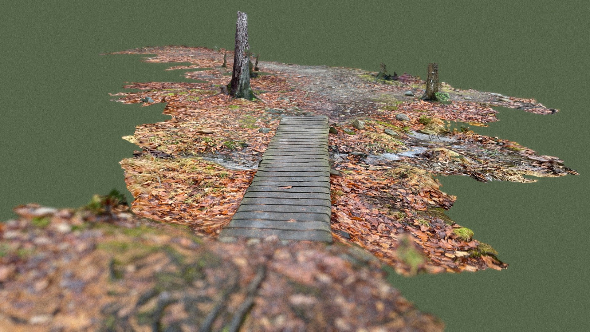 Bridge